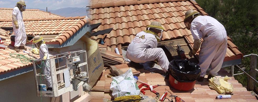 AAA Bee Removal employee working on a roof